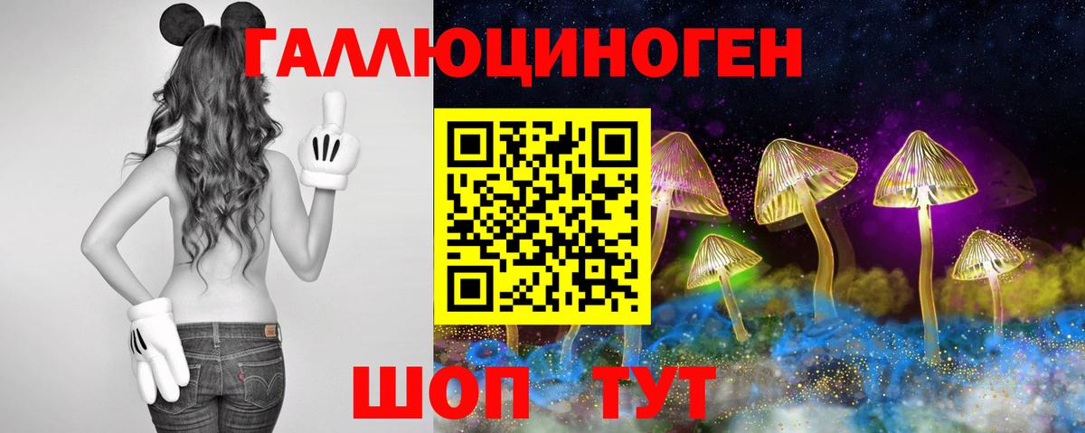 цена наркотик  Вход с VPN  Сегежа  Галлюциногенные грибы Psilocybine cubensis 